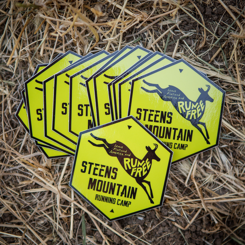 Steens Antelope Sticker (3 in)